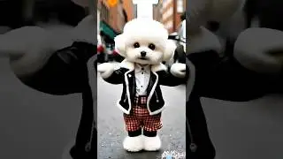 Cute puppy crazy dance💃| 