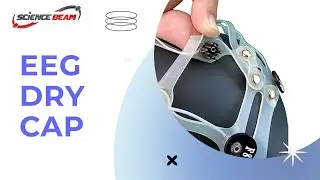 Dry EEG Cap - New Generation