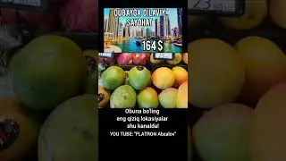 DUBAY 164 $ Toshkentdan parvoz "Oilaviy Sayohat" 🥰🤩🏖✈️🌞🌊 #shorts #dubaygasayohat