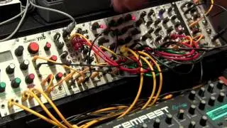 Modular Wild visits Machines in Music-Modular Synthesizer Fair
