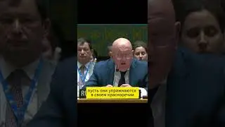суть политике Евросоюза, Небензя опустил ЕС 