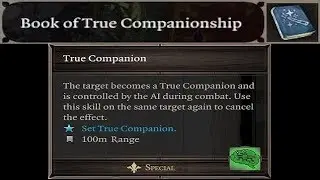 True Companions MOD - Divinity Original Sin 2