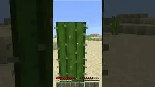 Portal To Backrooms In Minecraft!