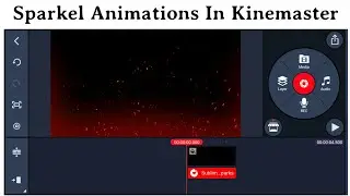 Sparkle Animations In Kinemaster | Kinemaster Video Editing | Kinemaster Animations Stickers