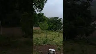 Minha rocinha,meu cantinho de paz🙏🌧🍃🌱💚🤍