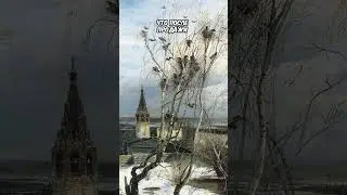 Зачем писать сочинения по картинам?