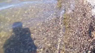 https://youtu.be/eCkBdziK5RM