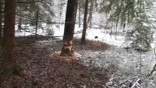 Особенности копа в зимний период.