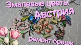 ЭМАЛЕВЫЕ ЦВЕТЫ АВСТРИЯ?ВОССТАНОВЛЕНИЕ ОДНОЙ БРОШИ.