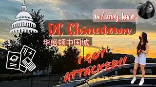 DC CHINATOWN VLOG 华盛顿中国城 | Back Home in DMV 回家回首都 | cizzlyvlogs