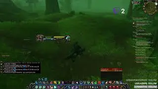 wow classic Пламегор Энх Шаман