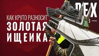 Как разносит золотая ищейка в Apex Legends (1440p)