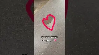 Улыбнись! ВСЁ БУДЕТ ХОРОШО!✨💖#счастьевпростом