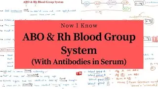 ABO and Rh Blood Group System (Blood types, ABO Antigens and Antibodies For Each Type in Serum)