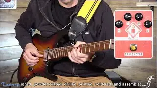 A todo Fuzz - Entrega 36 Dazatronyx Transistor Fuzz
