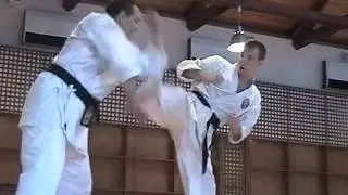 Энбу каратэ.