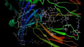 #Docking#Protein Protein Docking #Peptide Peptide Docking#Antibody Modelling#Peptide Protein Docking