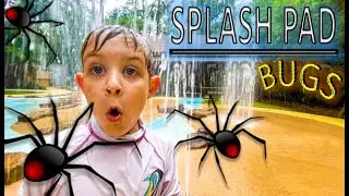 Splash Pad BUG HUNT for KIDS!! SPIDERS, Earwig Eggs, BEETLES, Moth, ROLY POLYS & MORE REAL BUGS!!