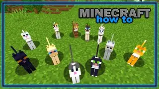 Everything You Need to Know About Cats in Minecraft! | Easy Minecraft Mob Guide