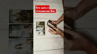 #tarotube #онлайнрасклад #tarot #таро #гадание #tarotmisha #тароонлайн #таролог #тарогадание