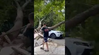 Ветер валит деревья прямо на машины😱 Ураган продолжается((( Анапа 25 мая