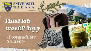 Life of a Postgradute student- Final lab week| Universiti Malaya 2024