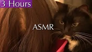 3 Hours Of Hypnotic ASMR Hair Play To Relax Yourself | No Talking