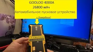 GOOLOO 4000A
