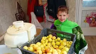 Обзор на старую Садовую соковыжималку // И видео как она работает  .