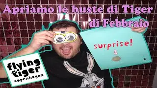 APRIAMO LE BUSTE A SORPRESA DI TIGER DI FEBBRAIO '24 || 2° Episodio- Stagione 3