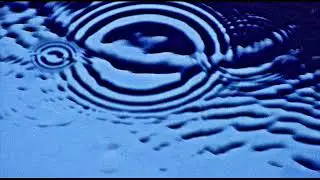Chunda munki-Interference