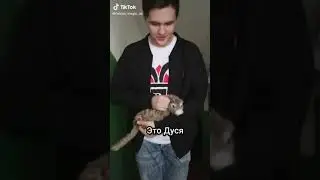 Топы тик тока #2