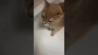 Когда научишься сам воду открывать?