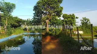 Menguras Kolam Ikan Nila, Kebun Sayur Terendam Lumpur