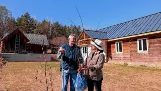 Life in the Village. Planting Fruit Trees. Reconstruction of a Village House