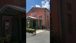 Haymans Market | Exploring Barbados | Vlog #barbados #travelwithme #islandlife
