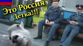 Мое слайд-шоу Прикол Бомжи