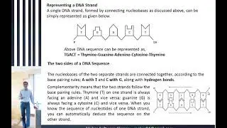 DNA Analysis in Bioinformatics