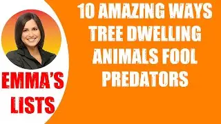 🛑10 AMAZING WAYS TREE DWELLING ANIMALS FOOL PREDATORS  👉 Perfect List