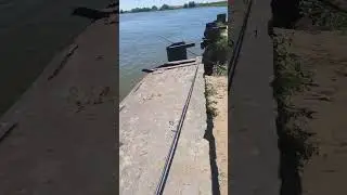 Как мы ловим селедку в мае, на Волге