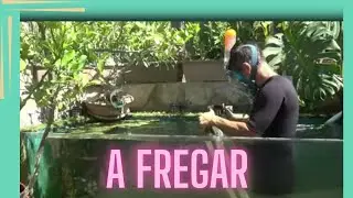 LIMPIEZA  DEL PARAISO