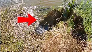 Glad I Went Fishing