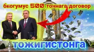 тожигистонга експорт 500 тонна биогумусга договор/ +998994436777