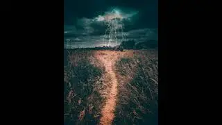 Дельфин- Миф
