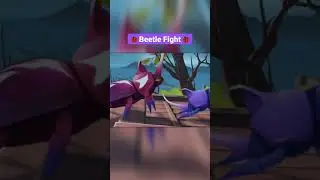 Beetle Fight. 