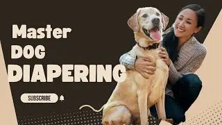 Master the Art of Dog Diapering with This Tutorial! #dogcaretips #thehappypuppers