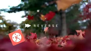 Reverse playback effect in kinemaster | advanced reverse effect in kinemaster 