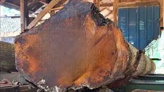 The amazing results of sawing old mahogany logs into solid planks at a sawmill 