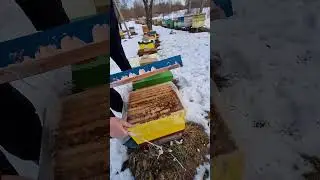 Живы !!! 