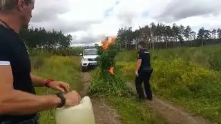 В Воскресенске полицейские обнаружили на поле заросли конопли. Место зарослей держится в секрете.